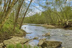 Madison County VA River front land for sale