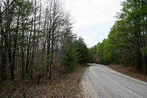 Buckingham  County Land for sale