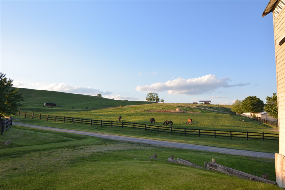 Shenandoah Valley Va Farm Hidden Valley