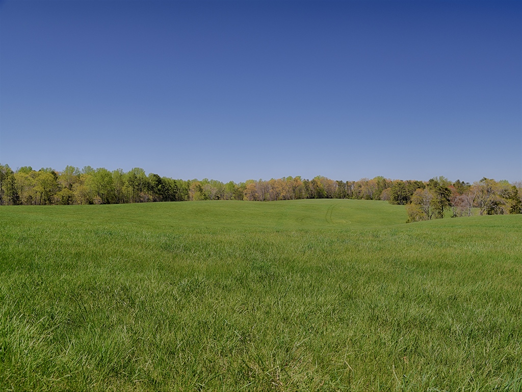 Land for sale in Louisa County Va