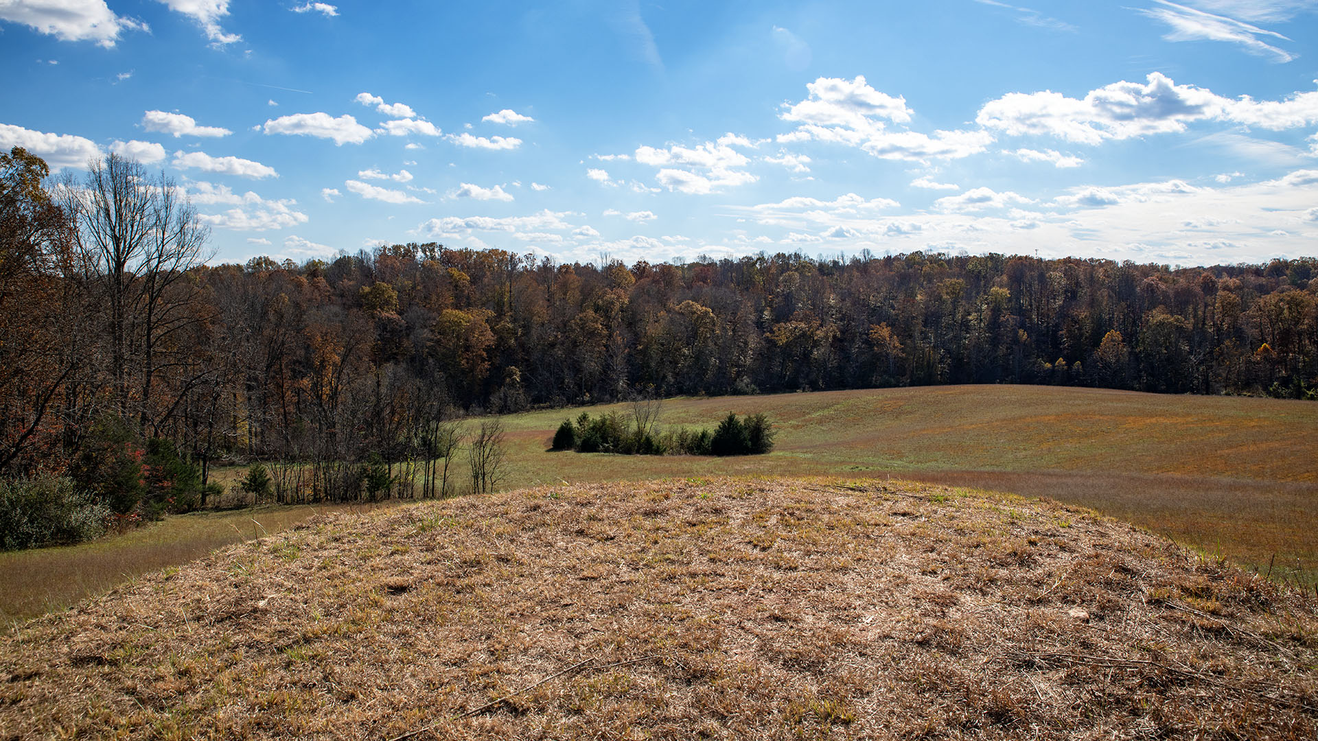Private airstrip for sale in Virginia