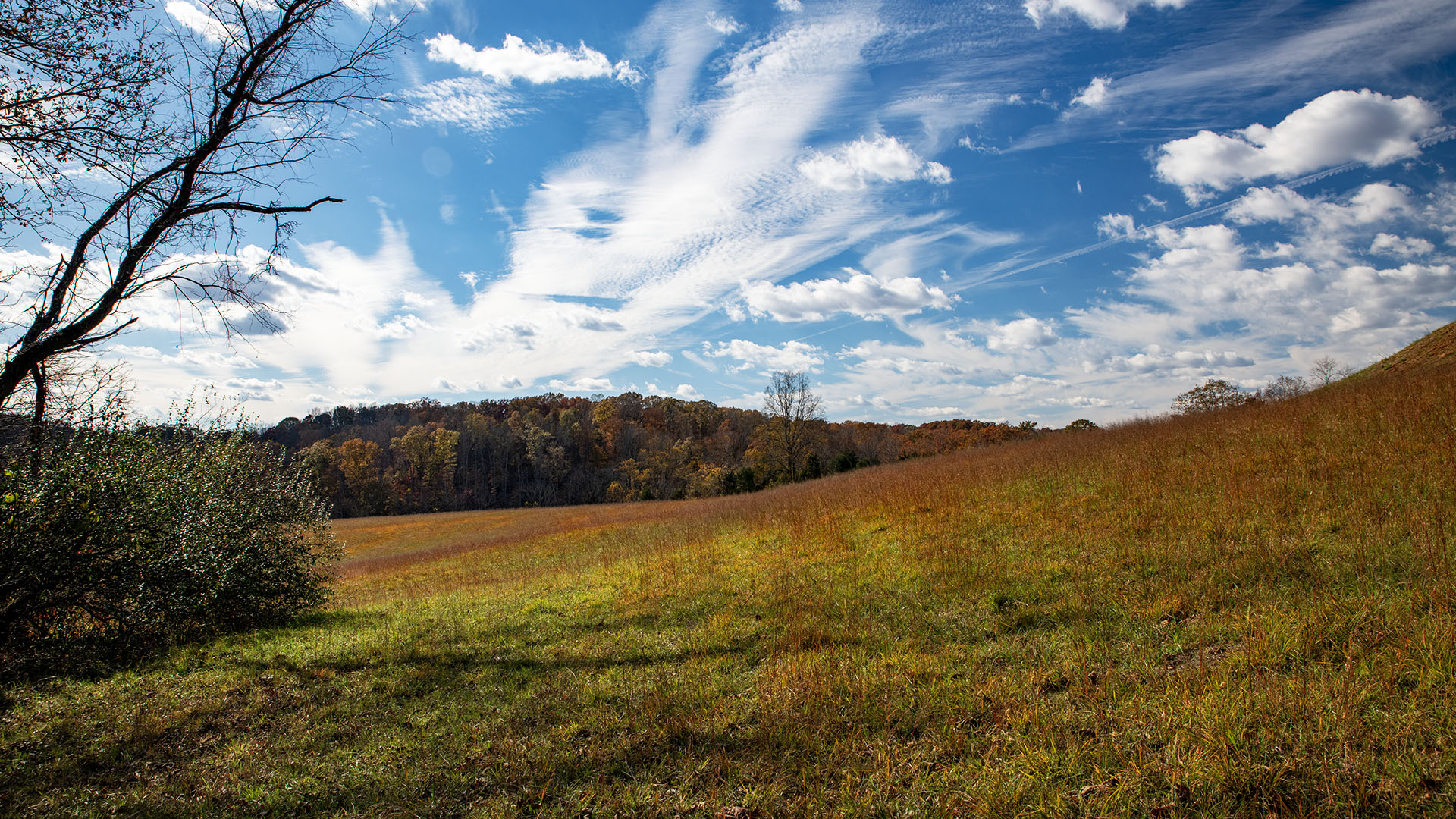 Private airstrip for sale in Virginia