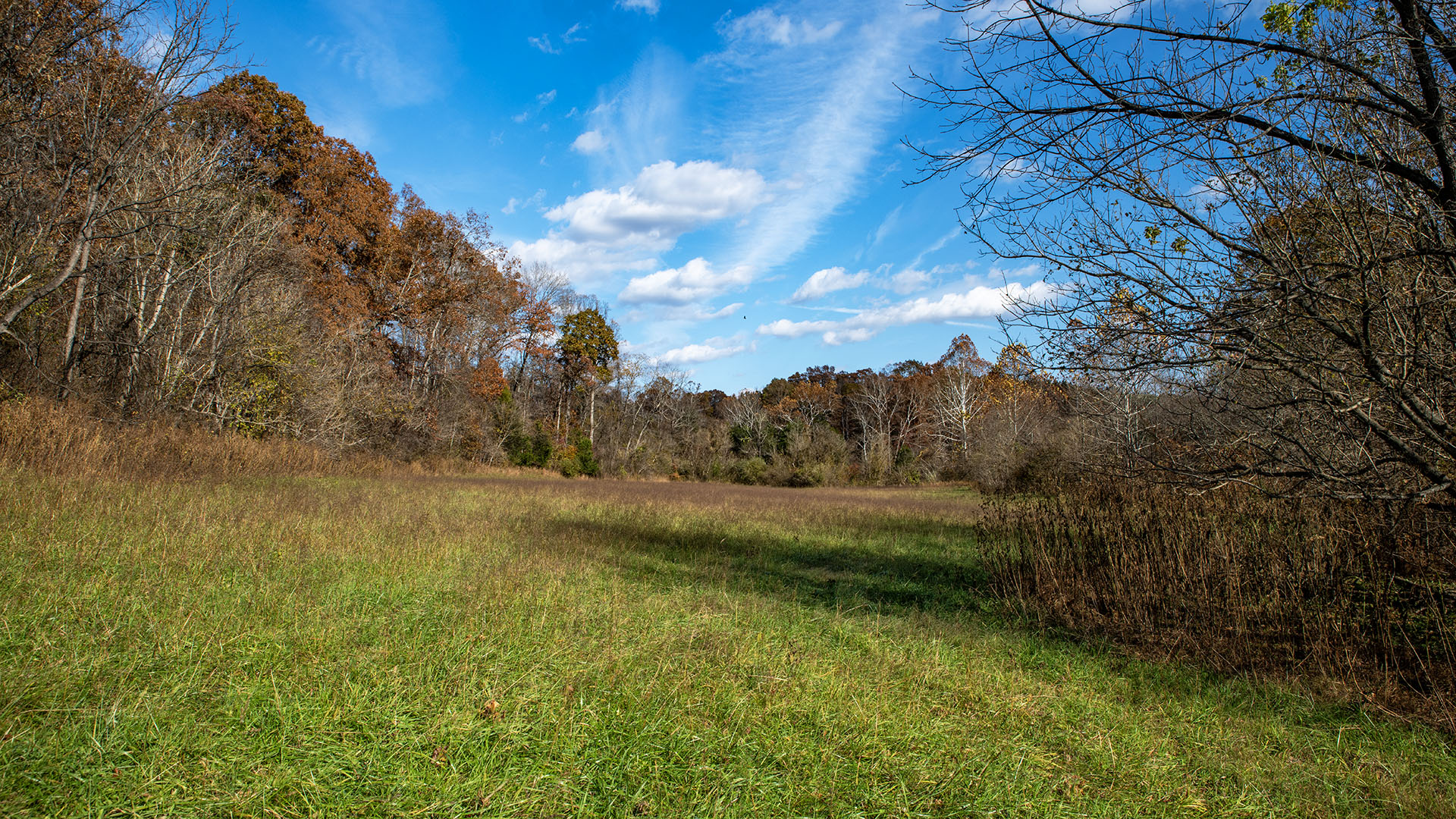 Private airstrip for sale in Virginia