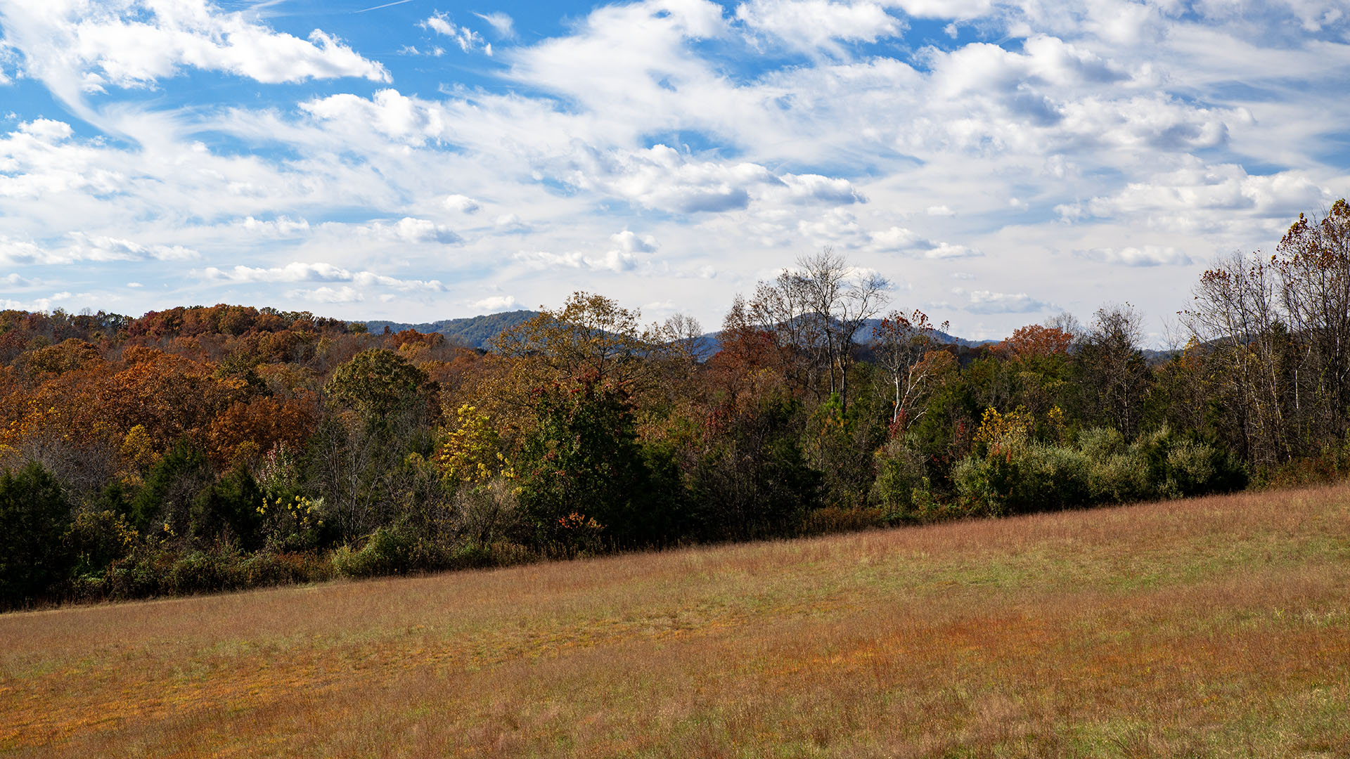 273 Airsports Drive Amherst VA for sale