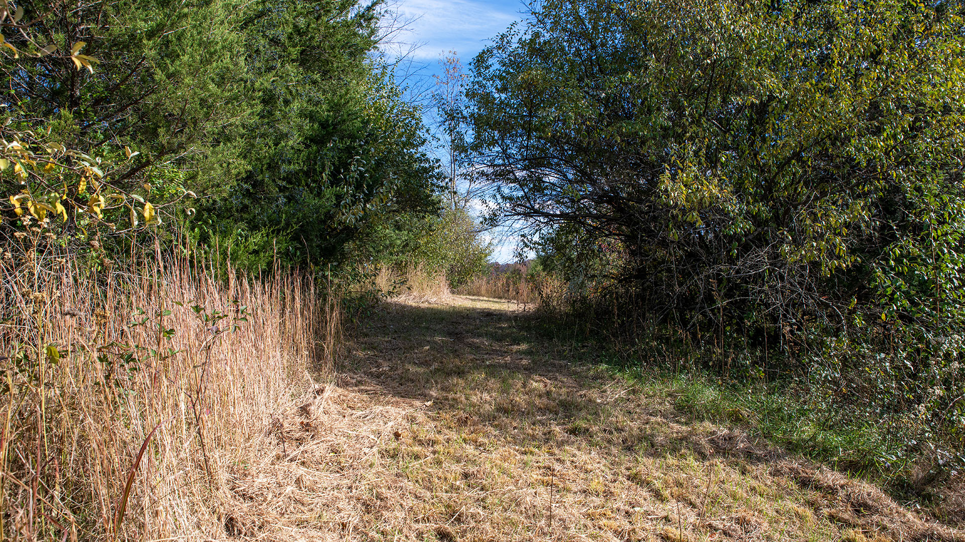 Private airstrip for sale in Virginia