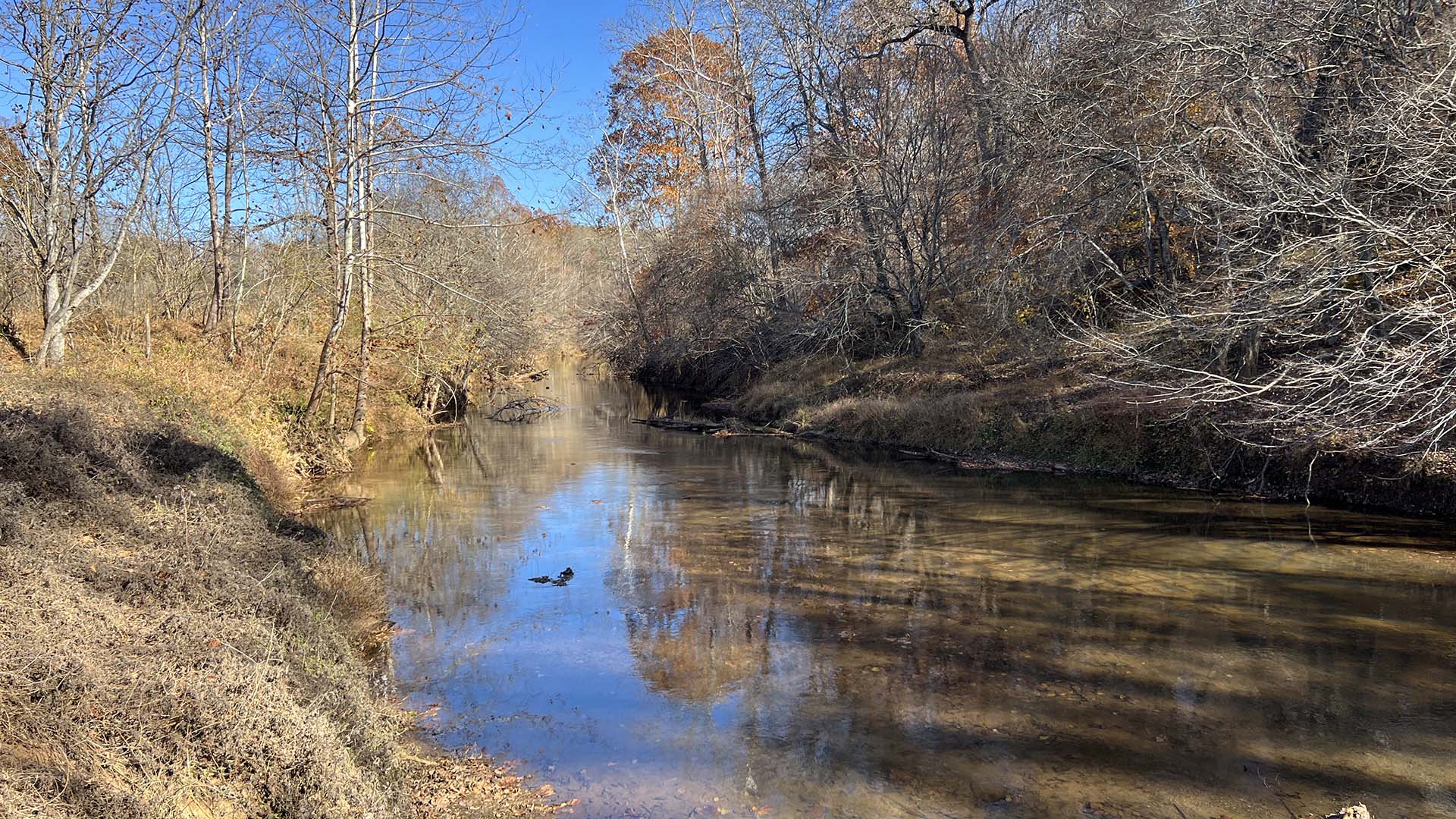 Private airstrip for sale in Virginia