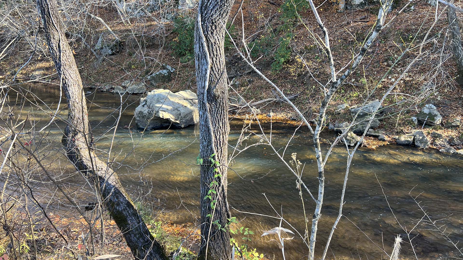 Private airstrip for sale in Virginia