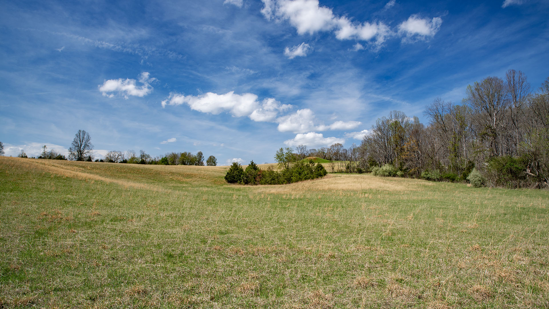 Private airstrip for sale in Virginia