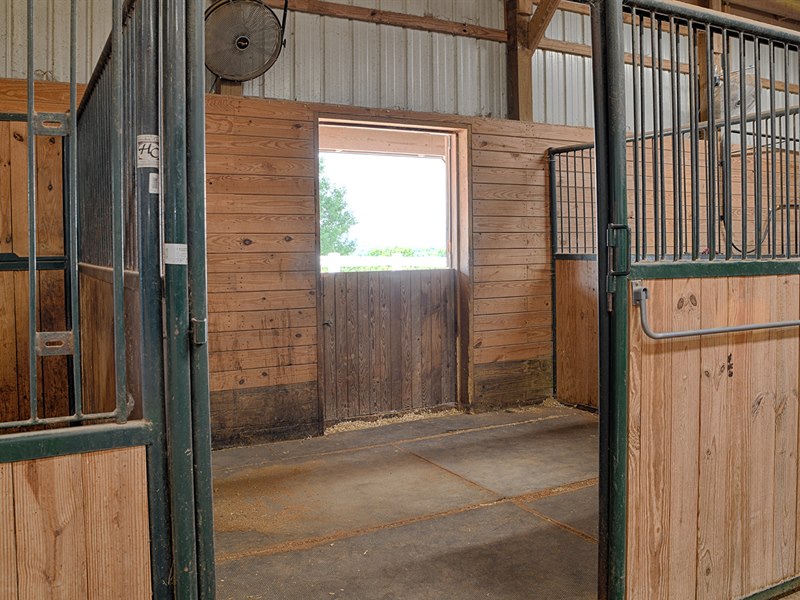 Stall with Dutch Doors