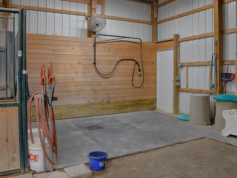Horse Wash Stall in Stable