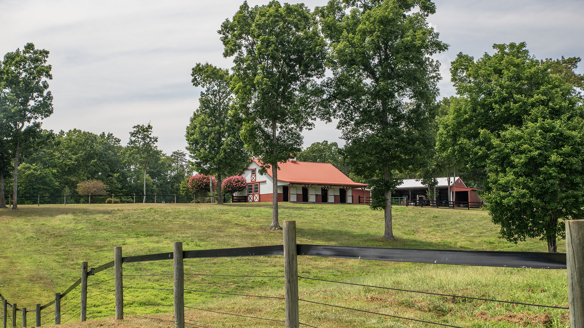 horse farm paddocks at Louisa County Virginia farm for sale