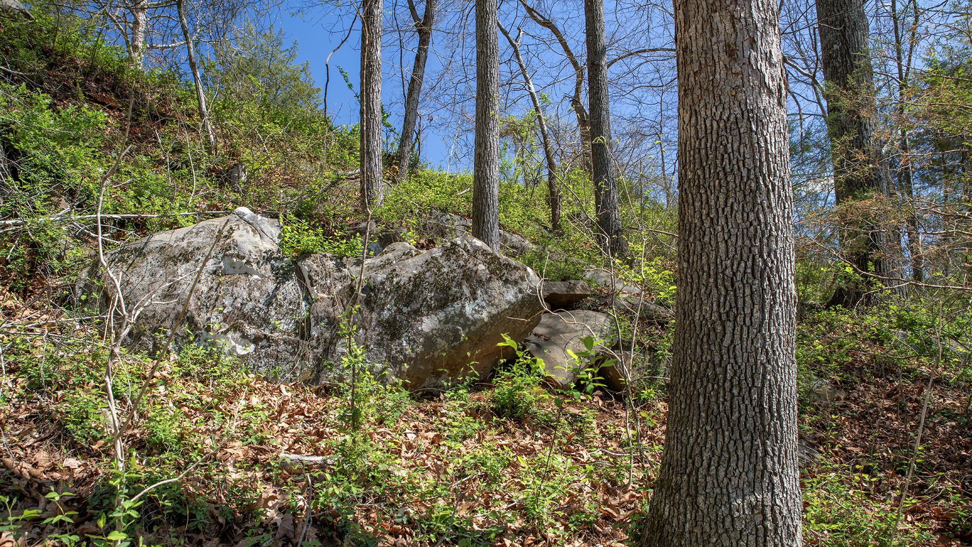 Riverfront home for sale in Madison County VA