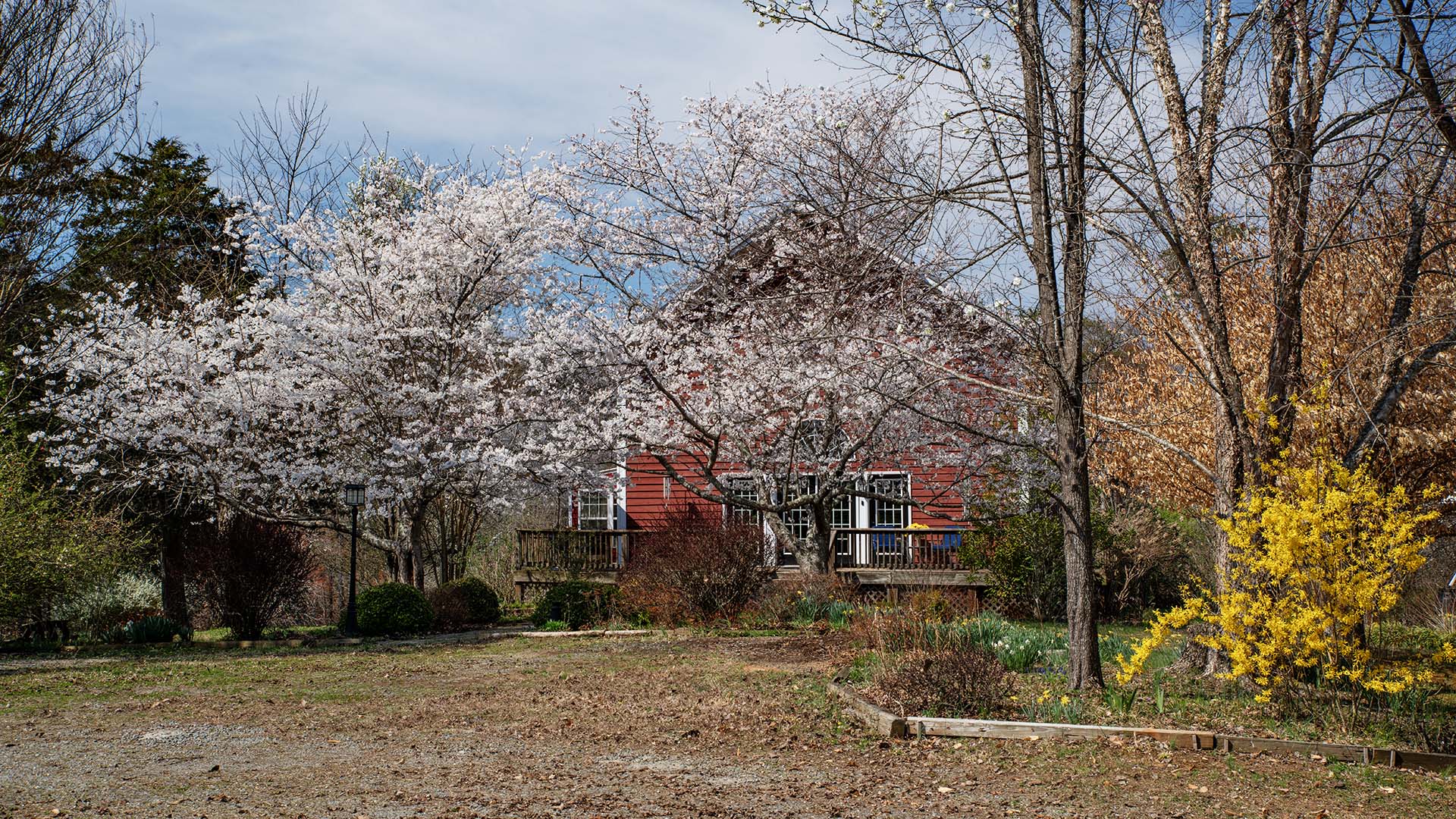 small farm for sale in Virginia