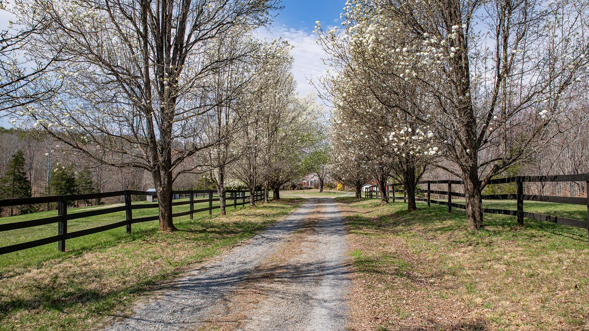 small farm for sale in Virginia