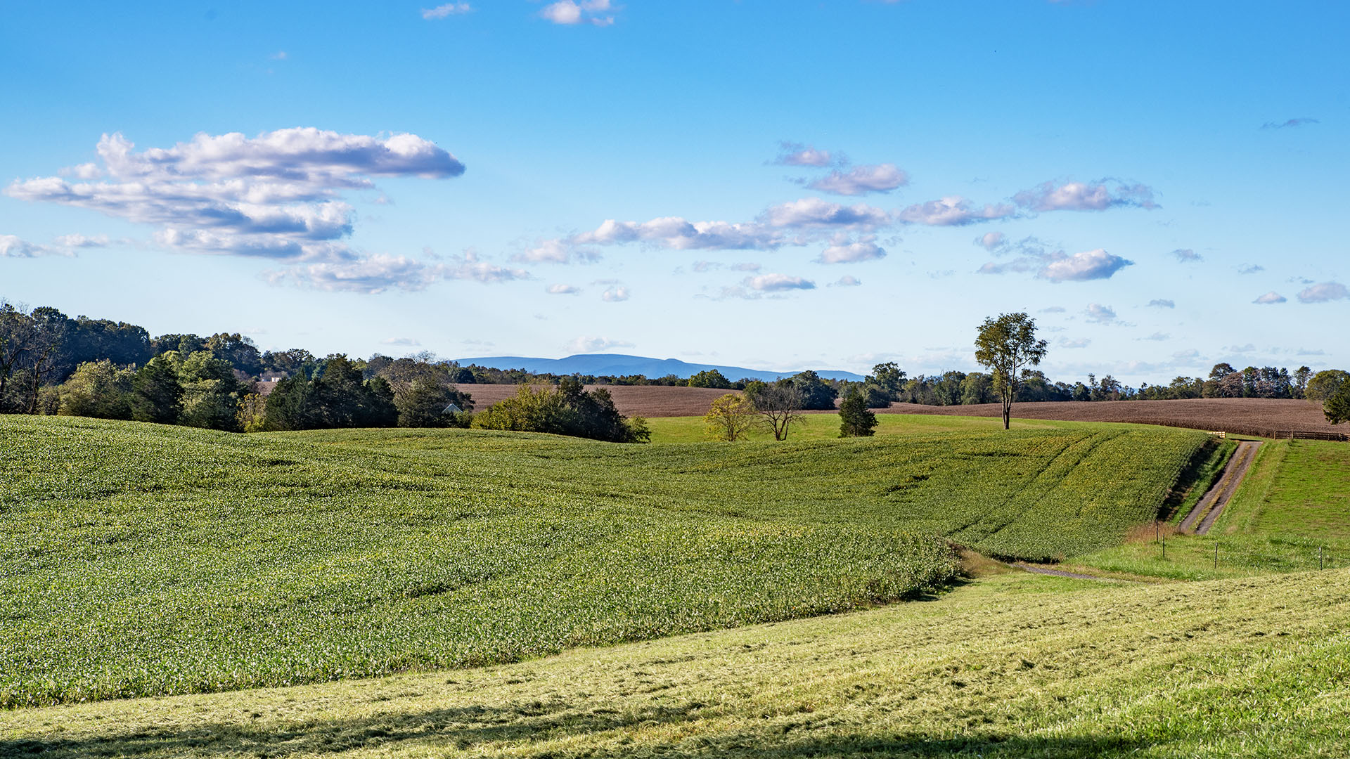  Beautiful Virginia Farm and Historic Home for sale in Culpeper County VA