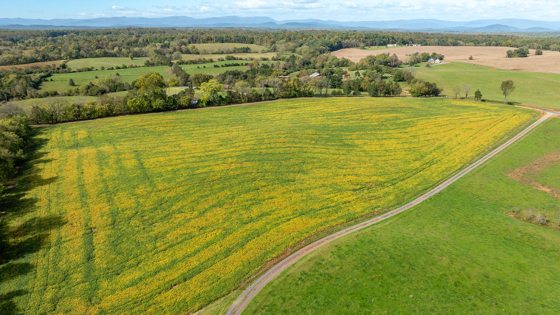  Beautiful Virginia Farm and Historic Home for sale in Culpeper County VA