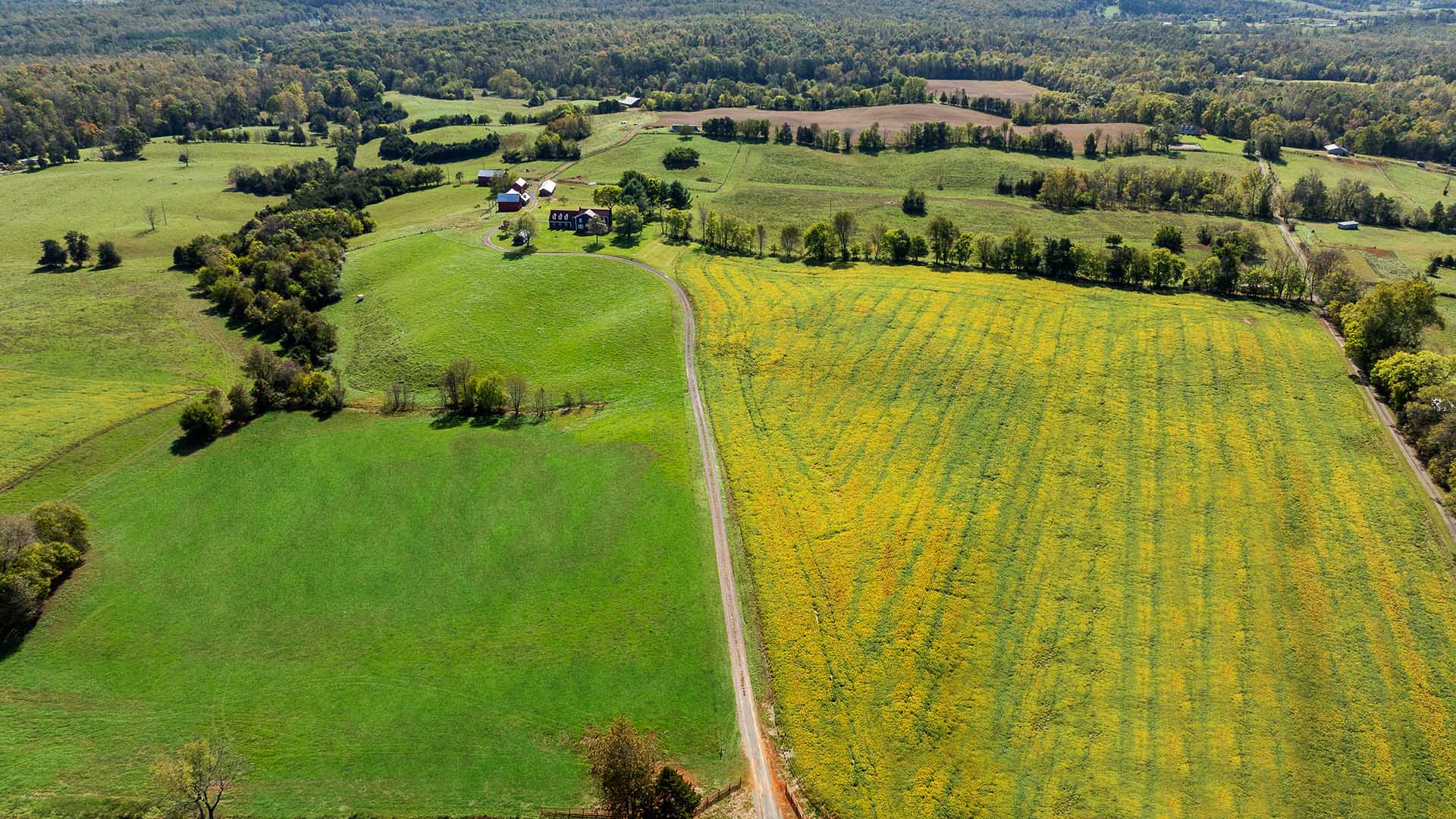 Beautiful Virginia Farm and Historic Home for sale in Culpeper County VA