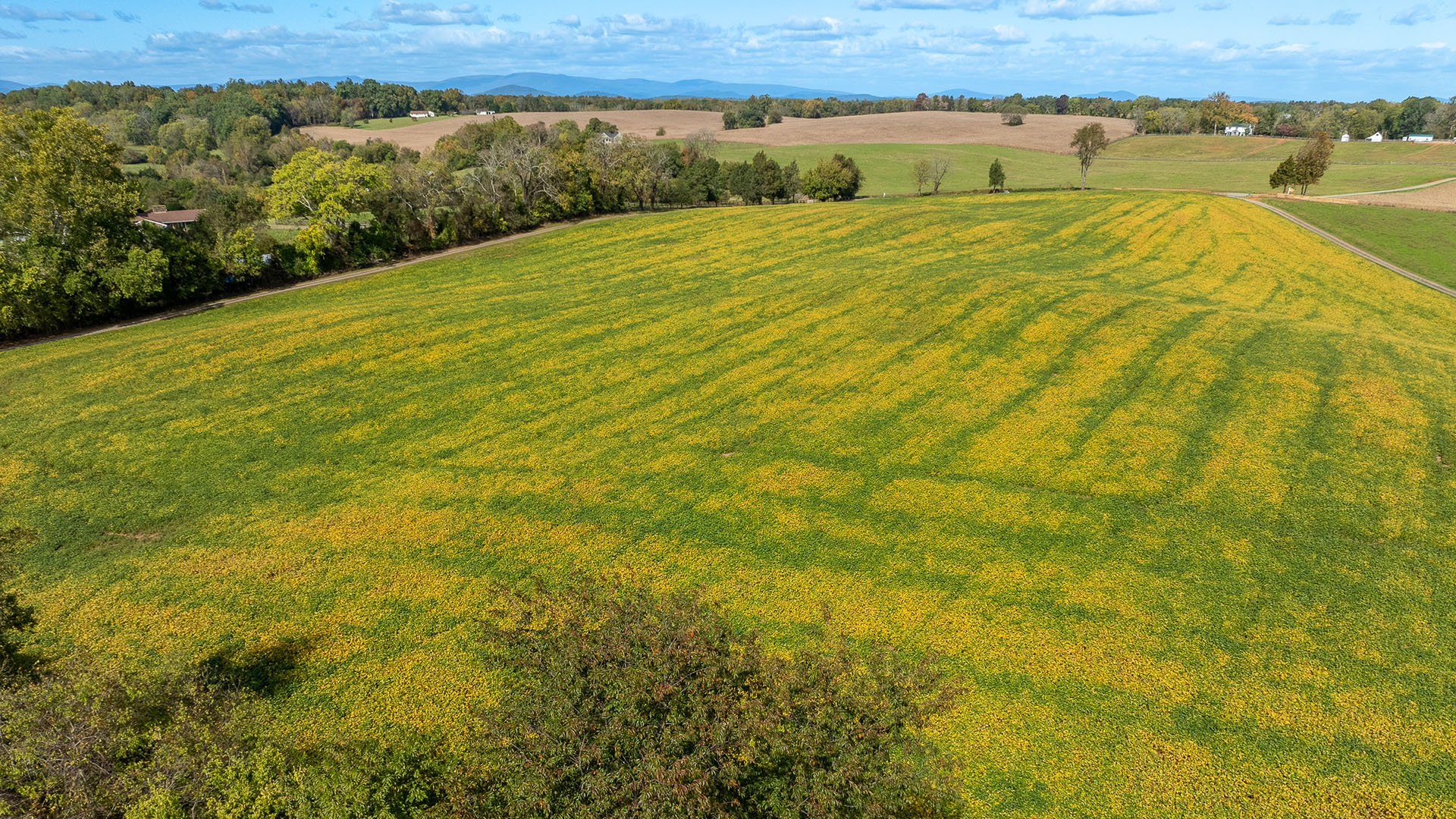  Beautiful Virginia Farm and Historic Home for sale in Culpeper County VA