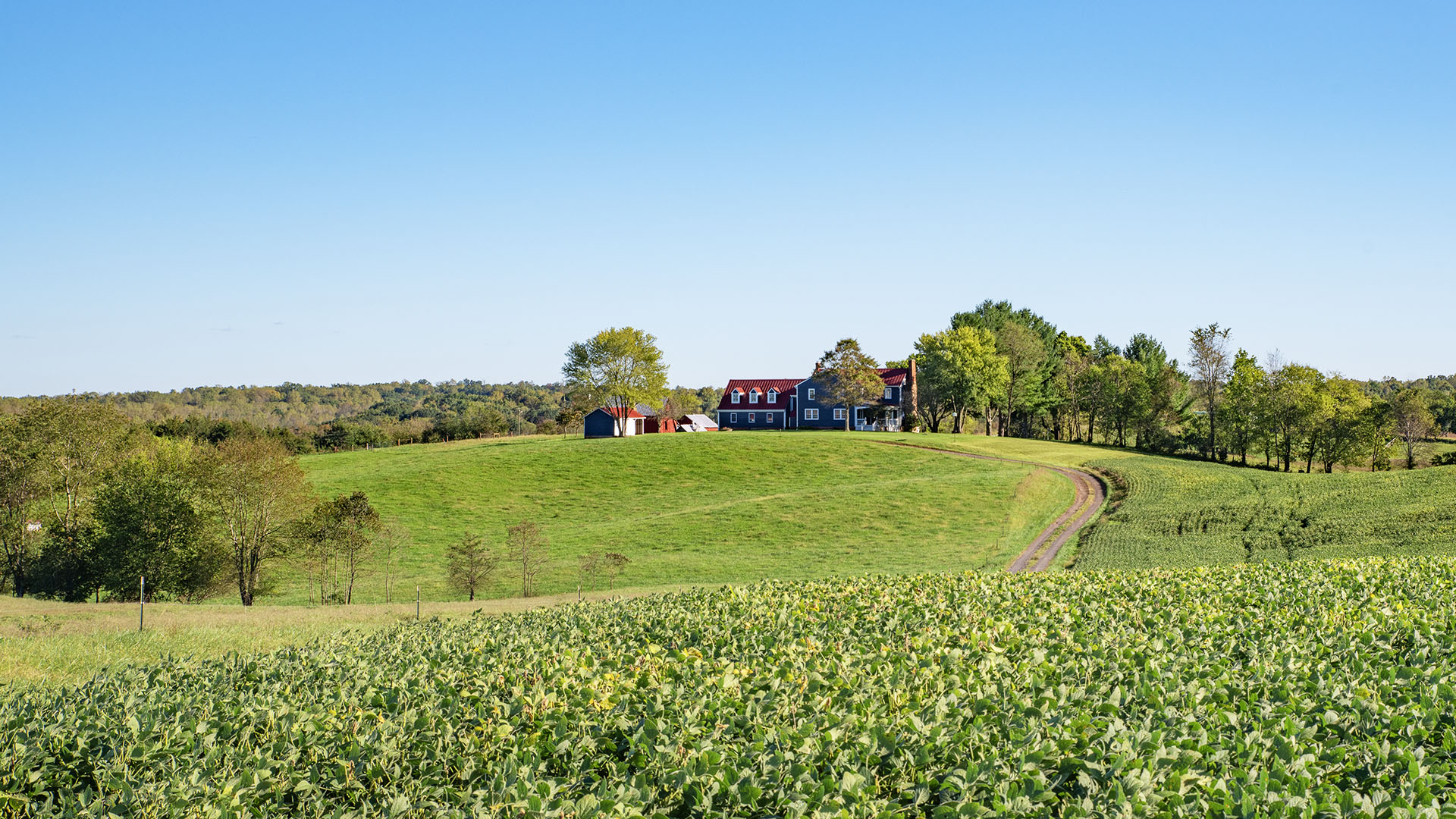  Beautiful Virginia Farm and Historic Home for sale in Culpeper County VA