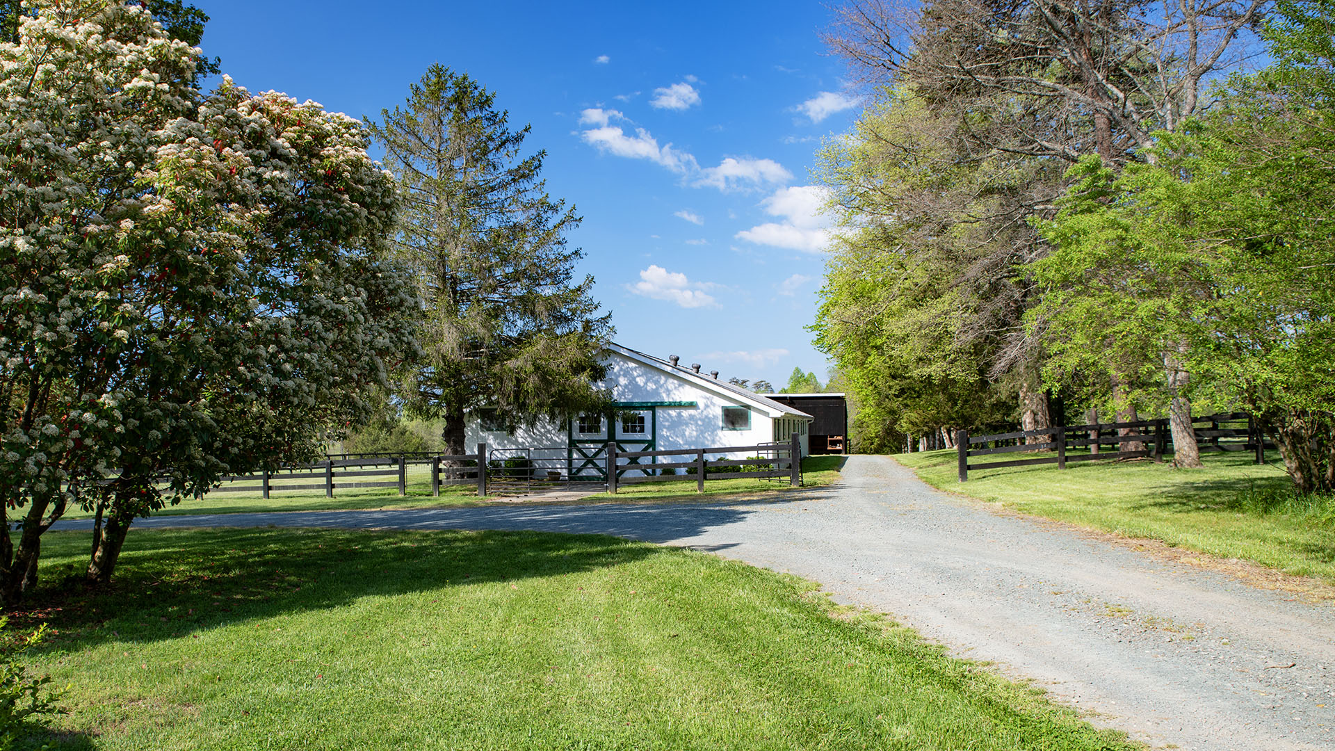 Kesmont - Keswick VA Horse Farm for Sale