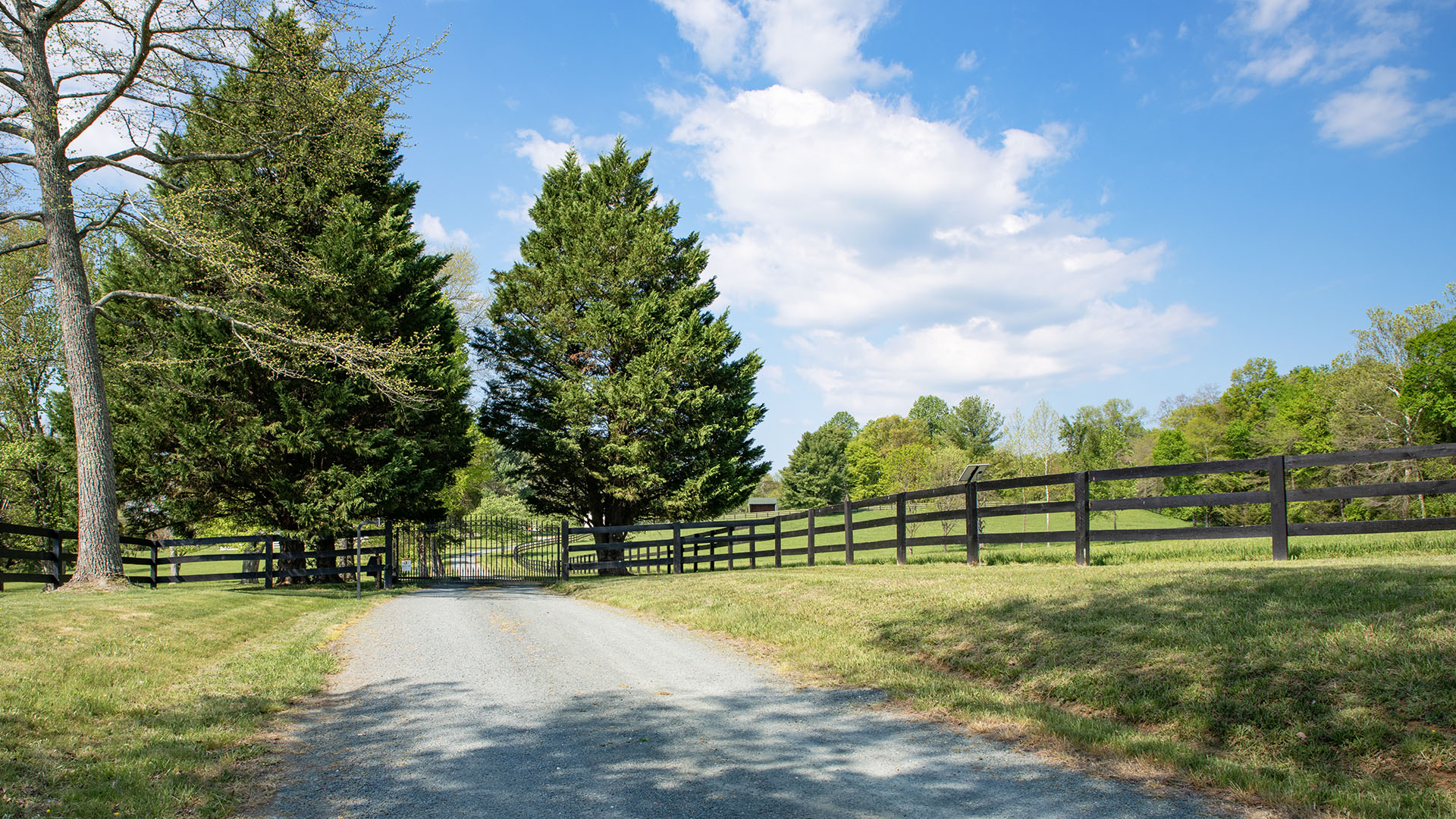 Kesmont - Keswick VA Horse Farm for Sale