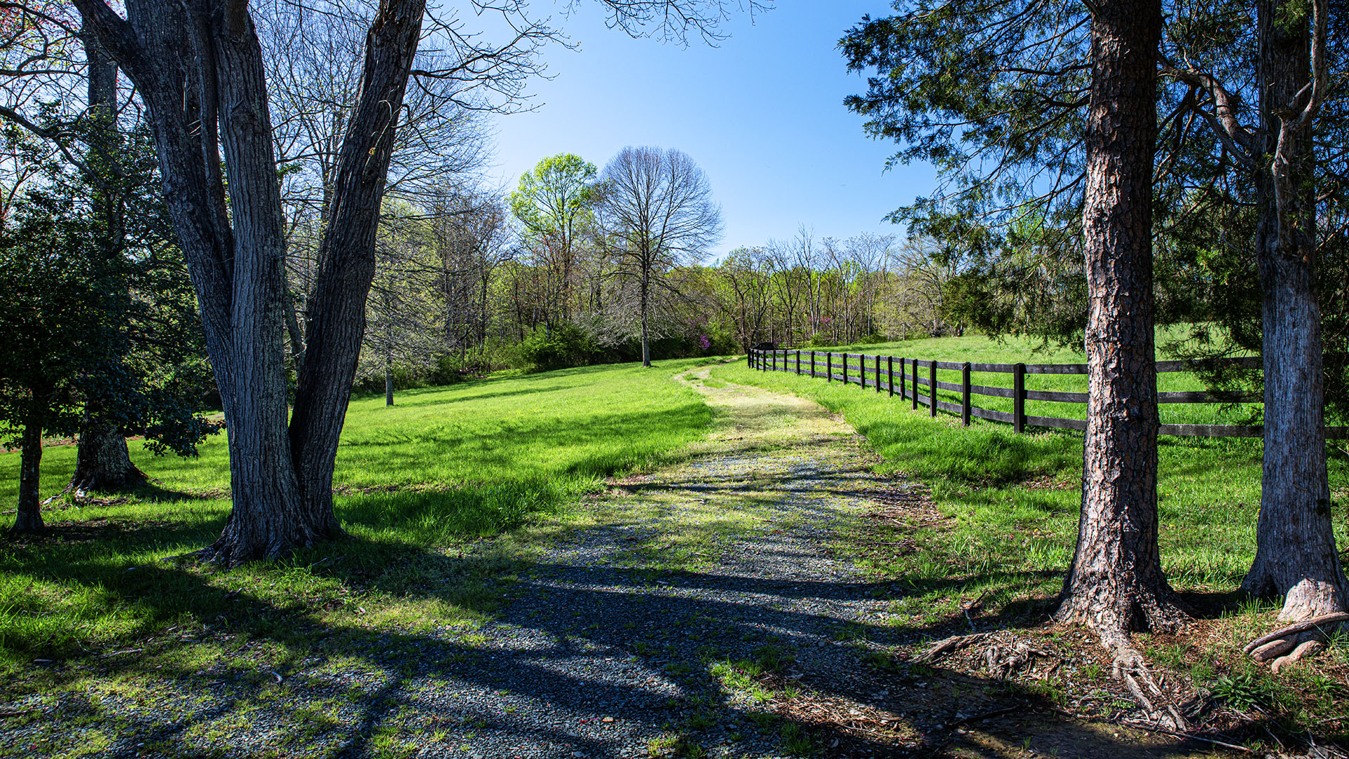 Kesmont - Keswick VA Horse Farm for Sale