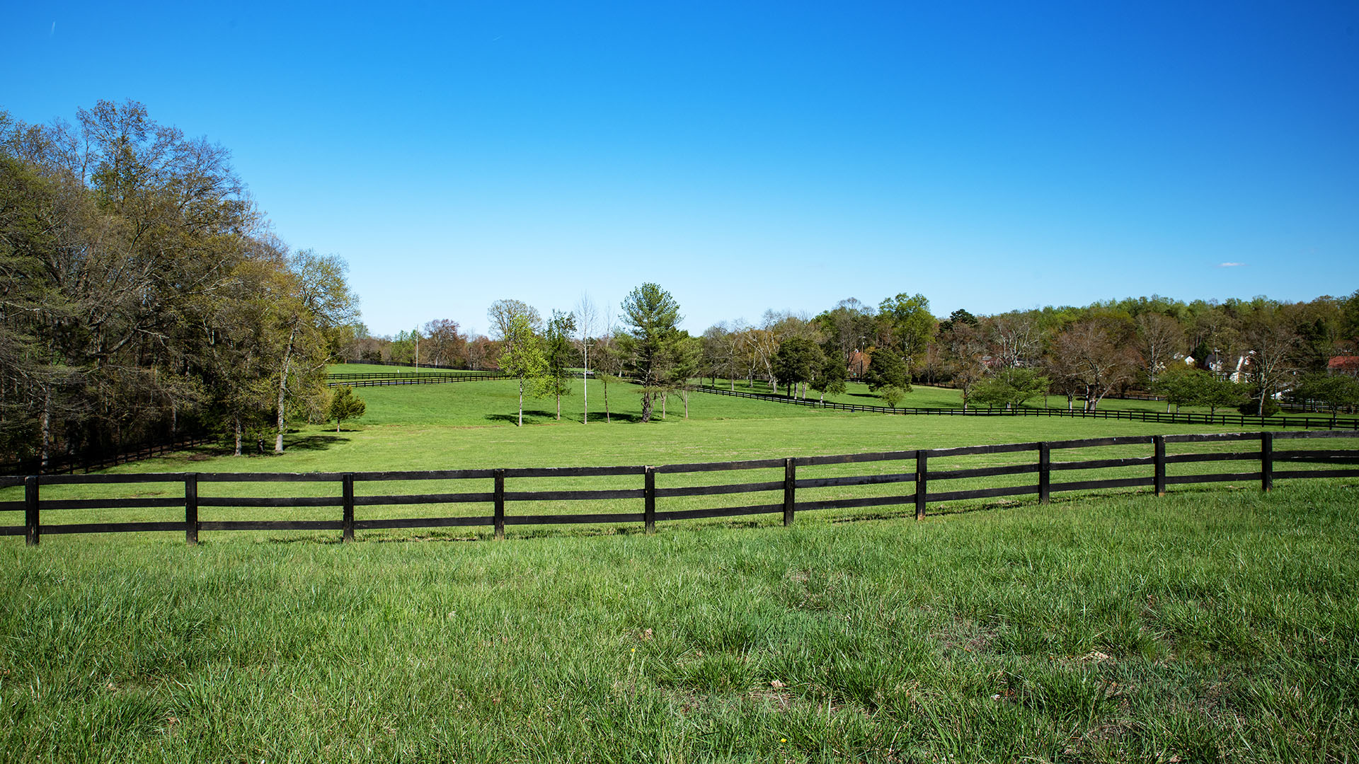 Kesmont - Keswick VA Horse Farm for Sale