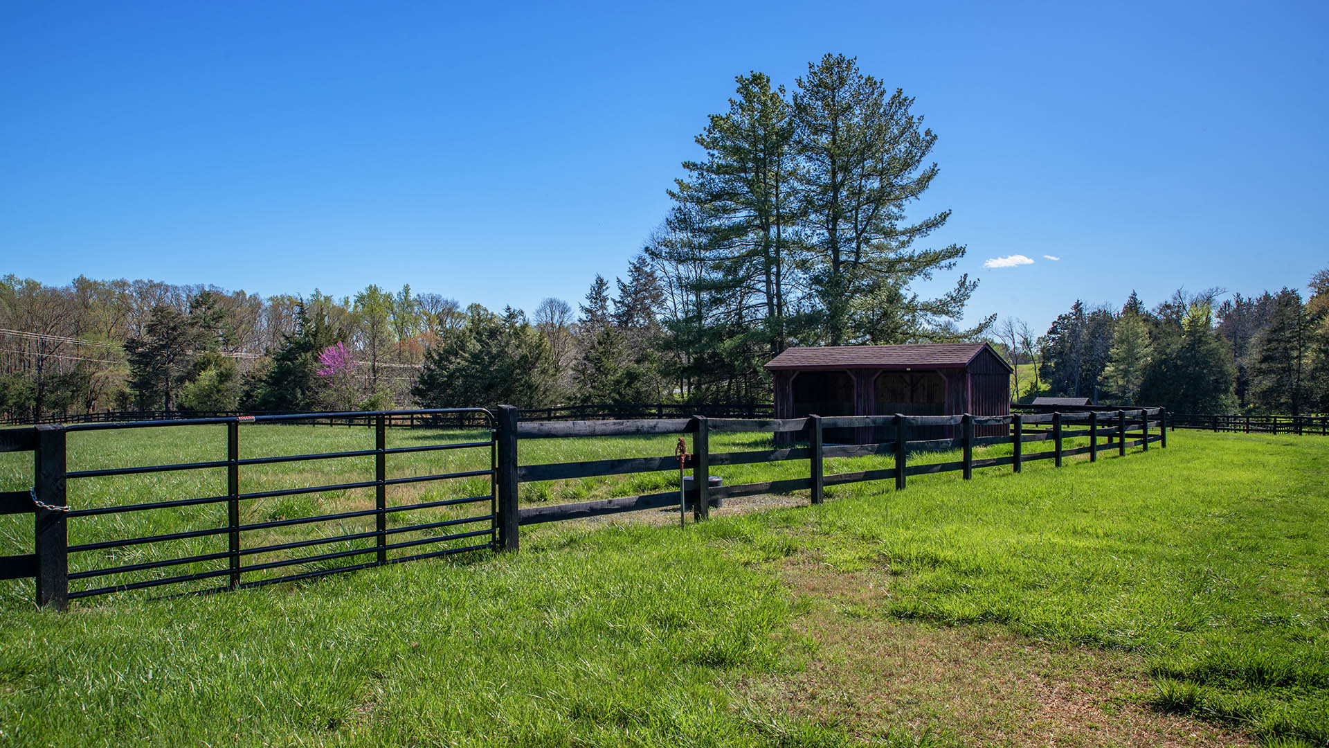 Kesmont - Keswick VA Horse Farm for Sale