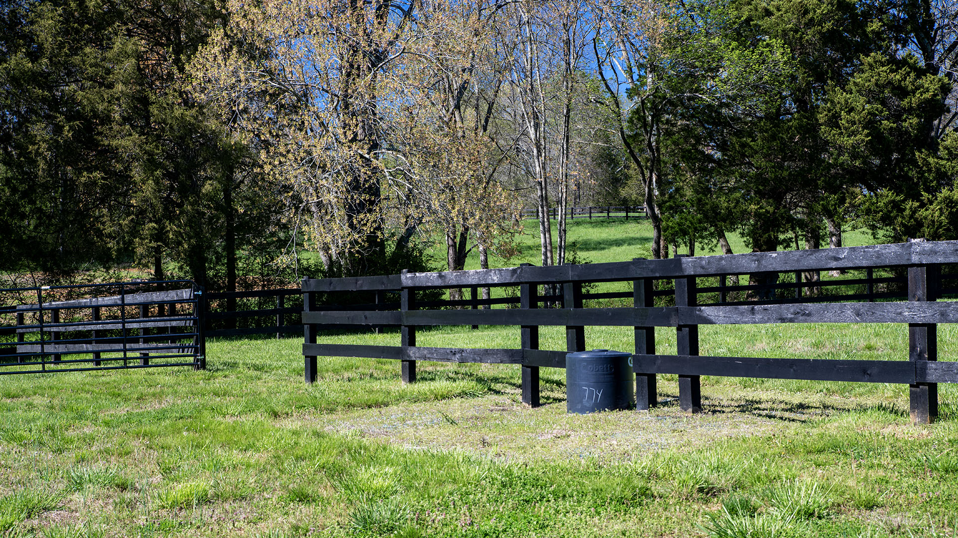 Kesmont - Keswick VA Horse Farm for Sale