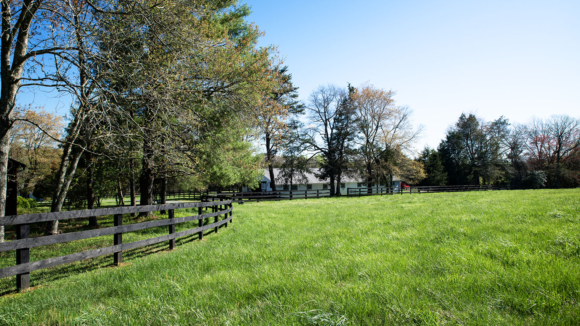 Kesmont - Keswick VA Horse Farm for Sale