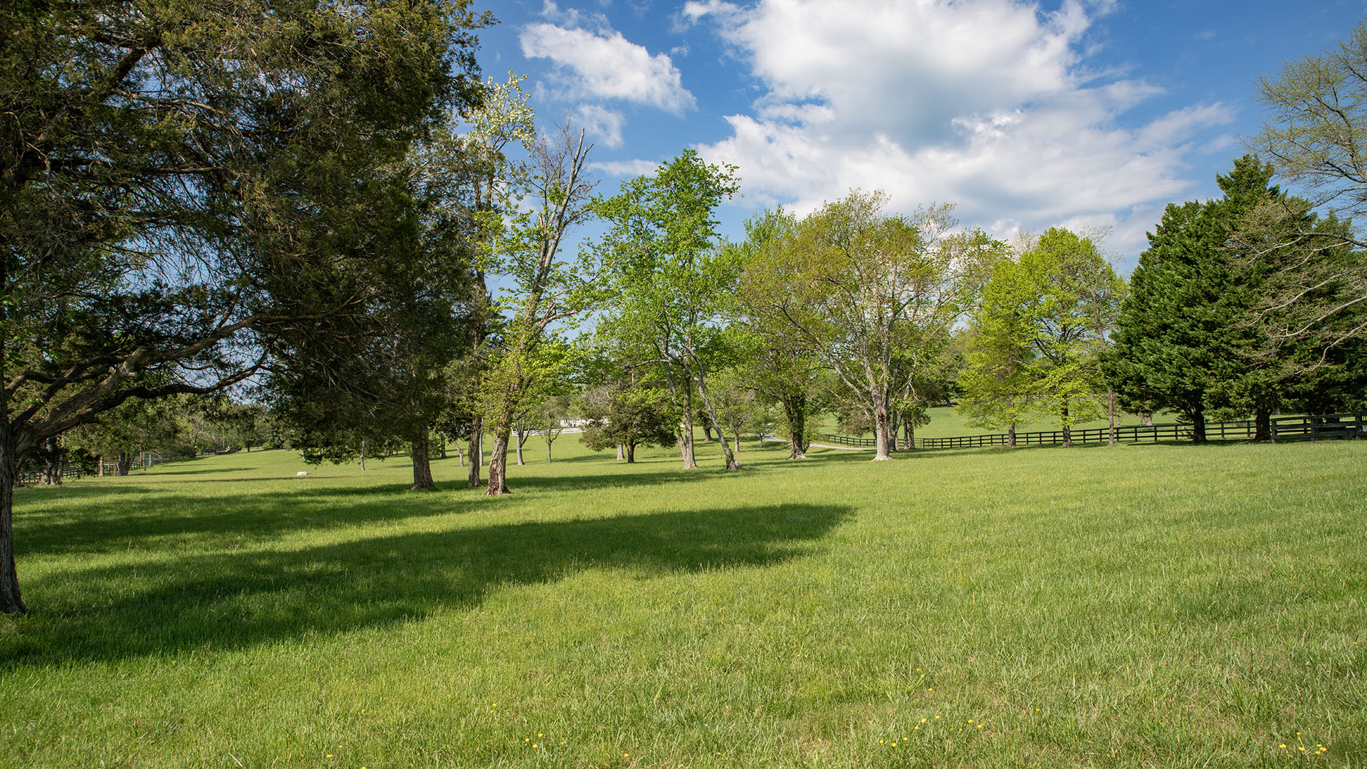 Kesmont - Keswick VA Horse Farm for Sale