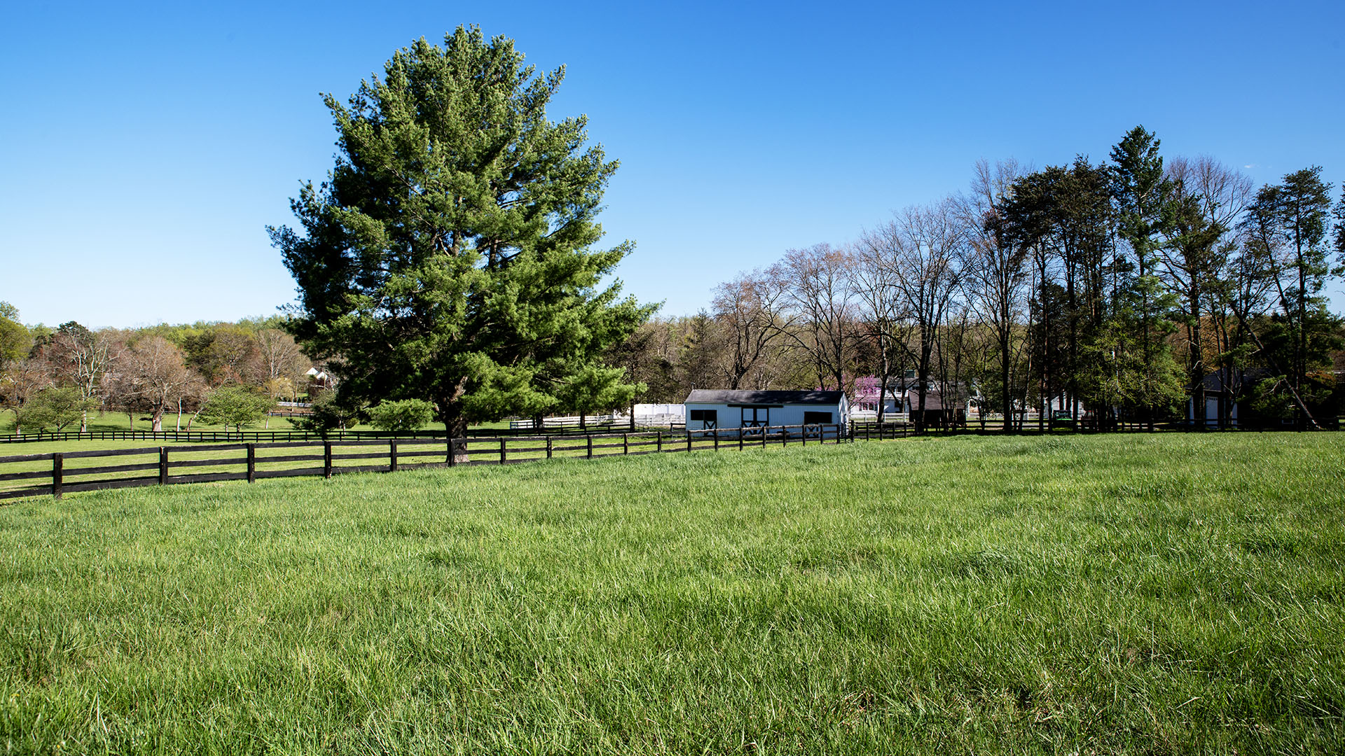 Kesmont - Keswick VA Horse Farm for Sale