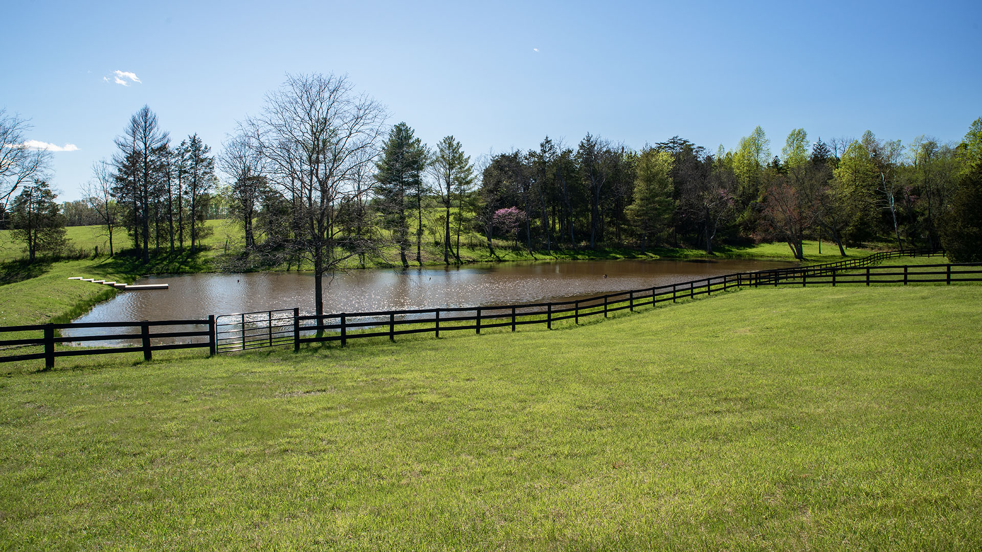 Kesmont - Keswick VA Horse Farm for Sale