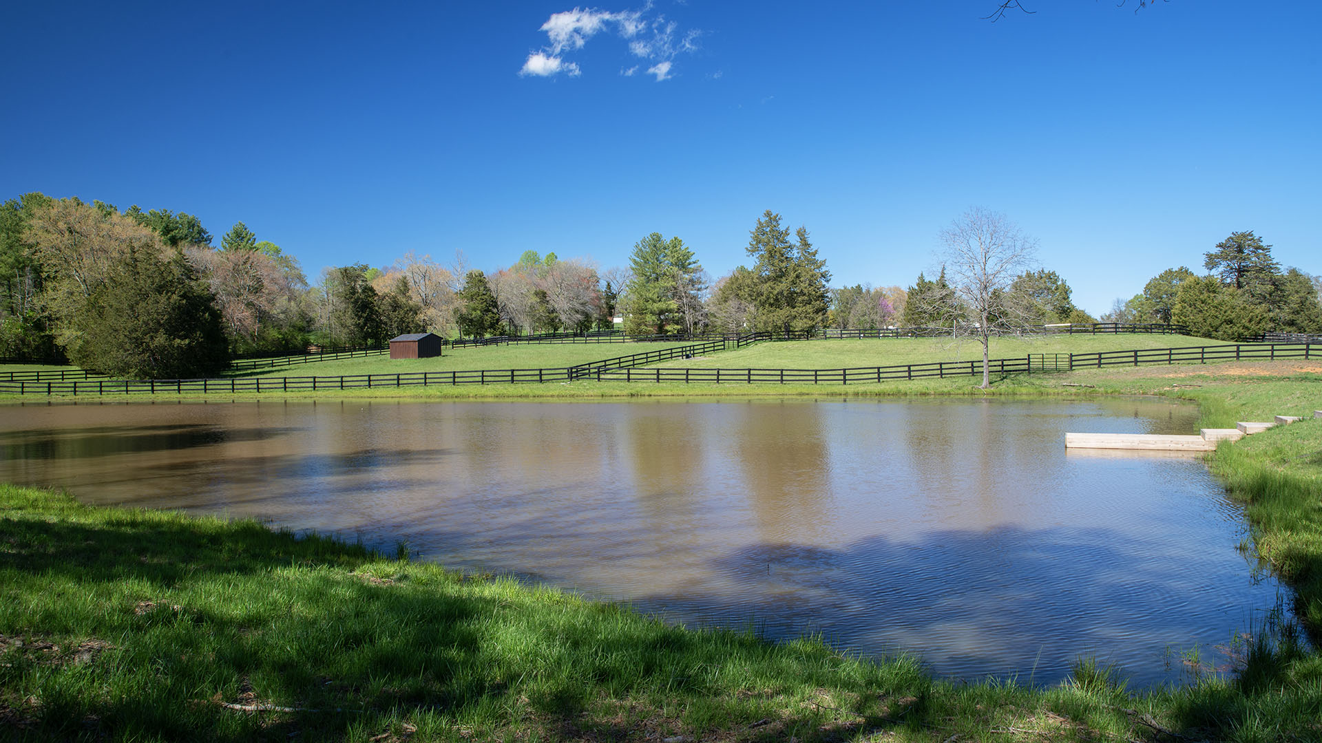 Kesmont - Keswick VA Horse Farm for Sale