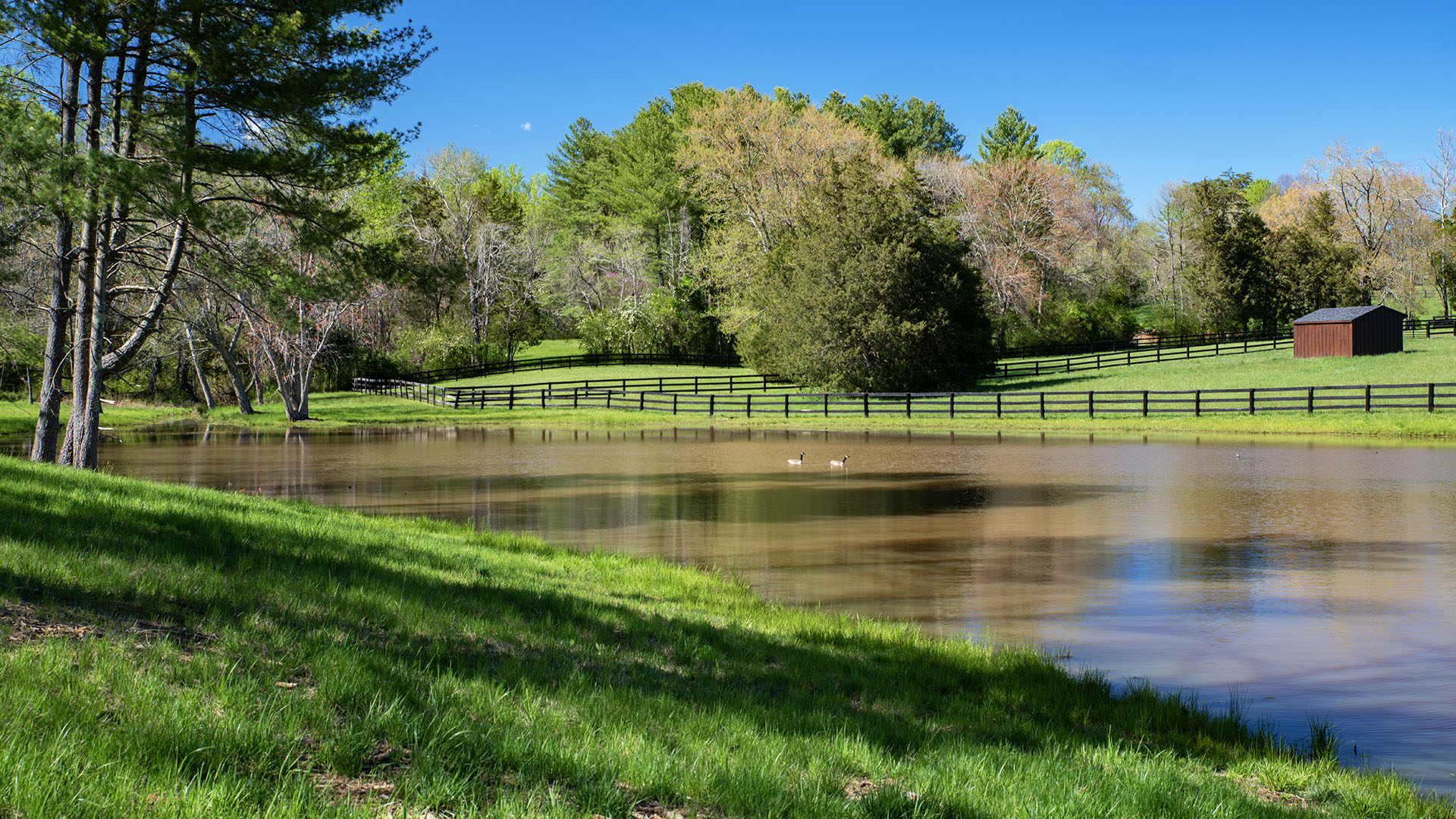 Kesmont - Keswick VA Horse Farm for Sale