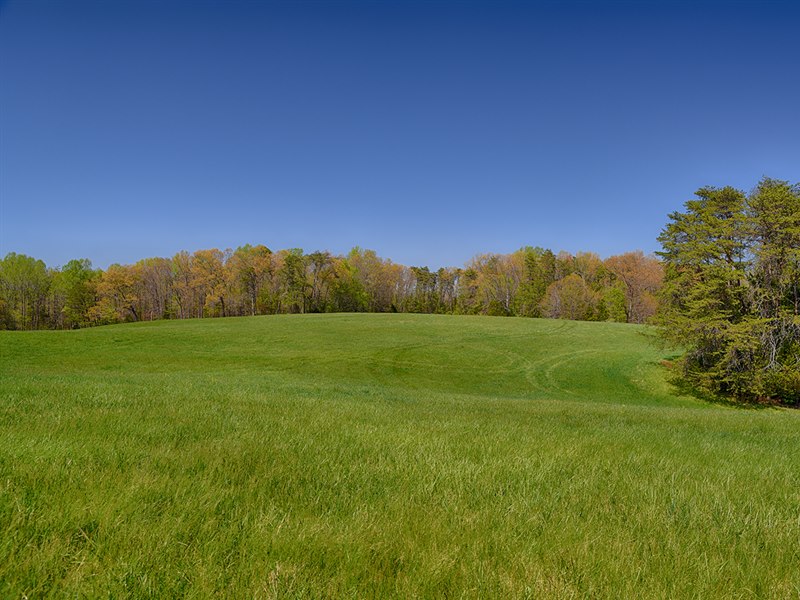 Oak Tree Farm in Louisa County Virginia