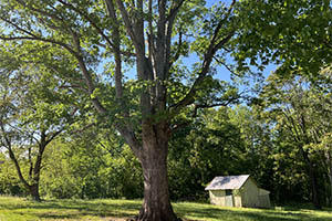 Albemarle County Virginia Land for sale 