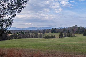 A beautiful farm in Somerset, VA 