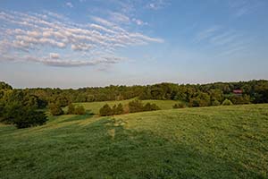 Cattle Farm for sale in Orange County, Virginia  