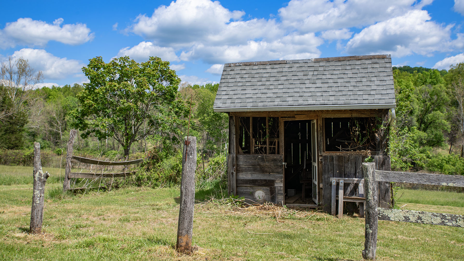 Rustic potting shed at Asgardd Farm in Afton VA with fencing, pasture and mountain views