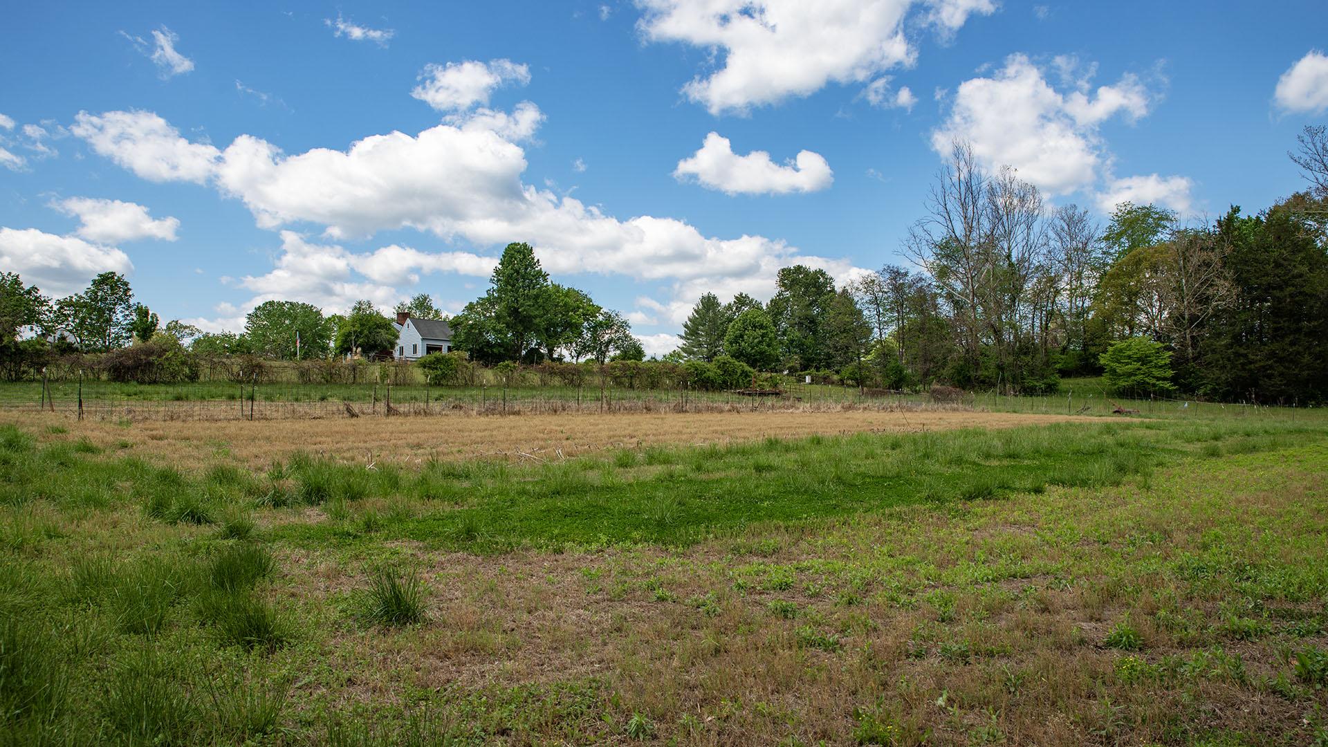 View from the garden and field toward the farmhouse at Asgardd Farm in Afton VA