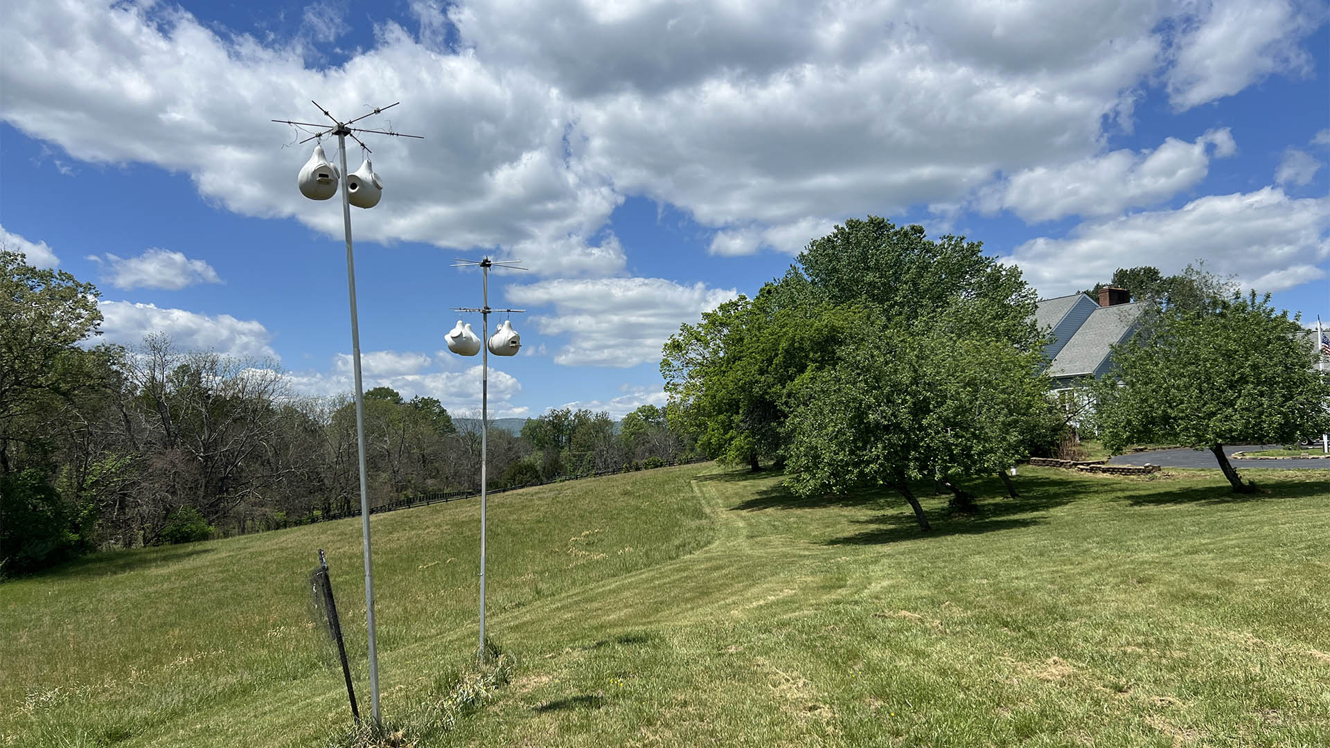 Birdhouses in open pasture at Asgardd Farm near Greenwood in Afton VA with rolling countryside and mountain views
