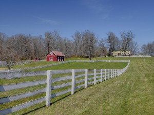 Spring Oak Farm