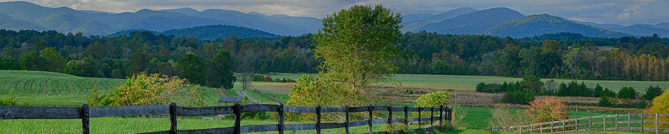 Charlottesville Real Estate looking at the Blue Ridge Mountains