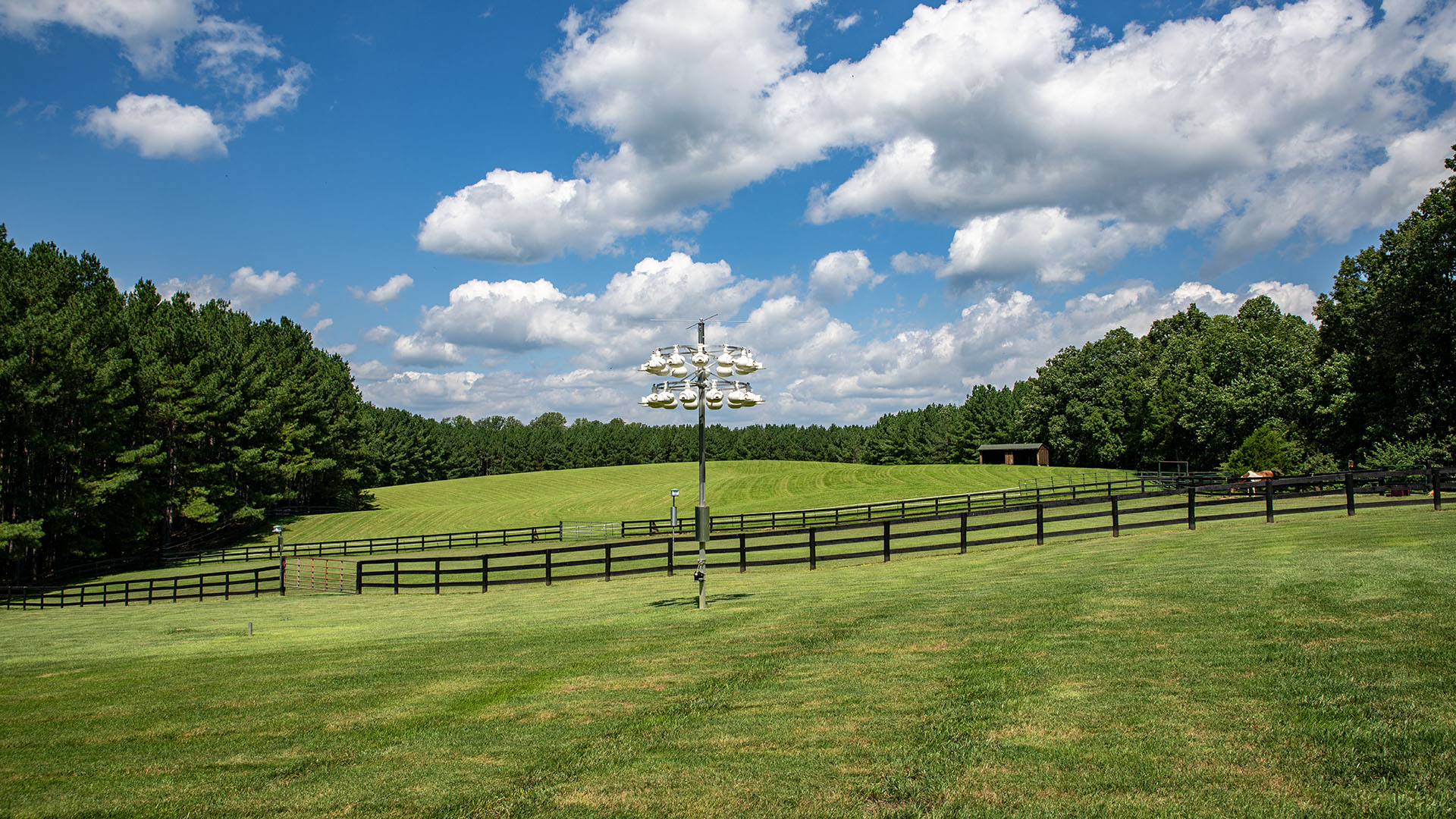 Fenced horse paddocks at 3638 Oak Park Road in Madison Virginia