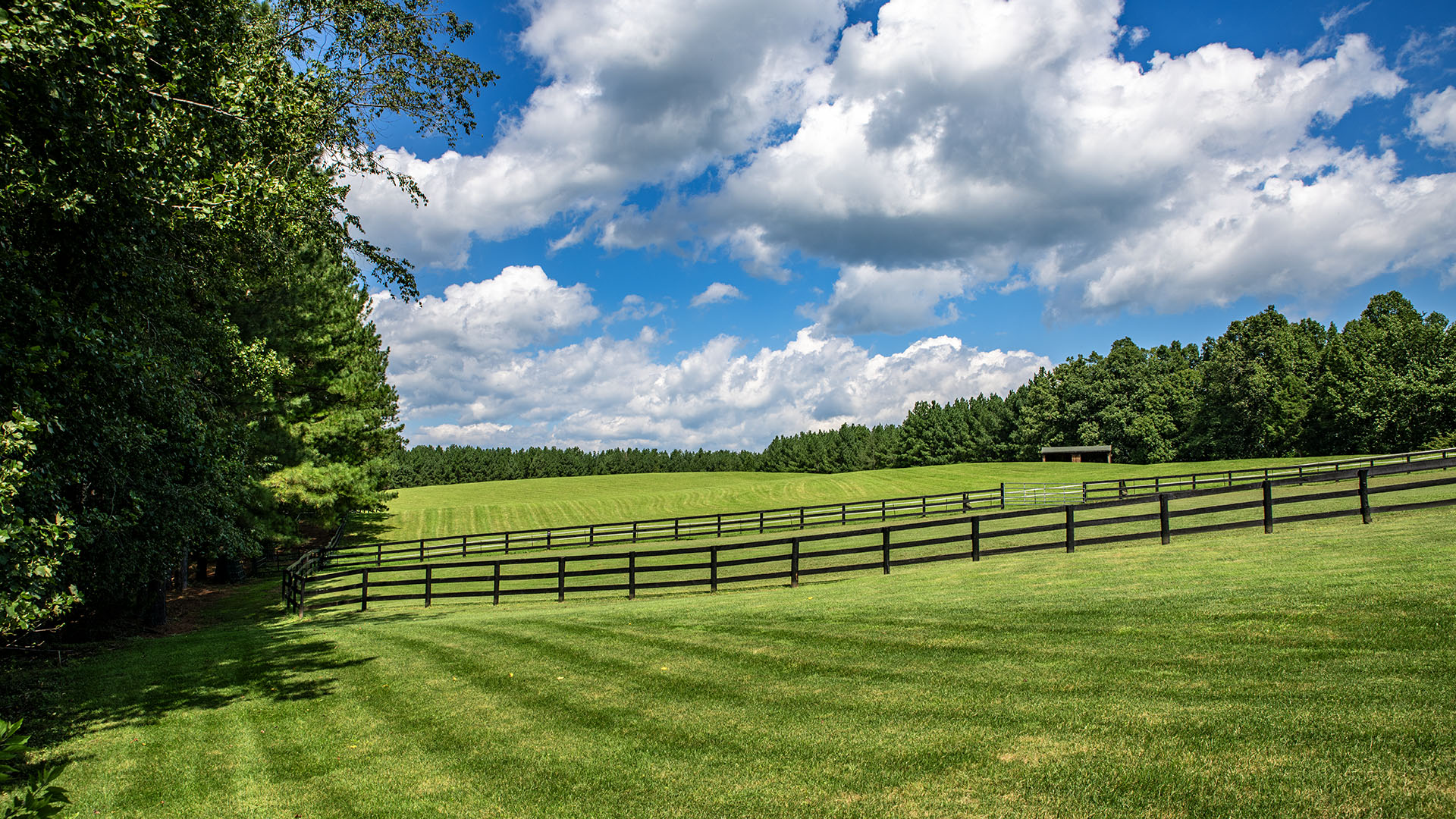 Horse pastures and farm setting at 3638 Oak Park Road in Madison County Virginia