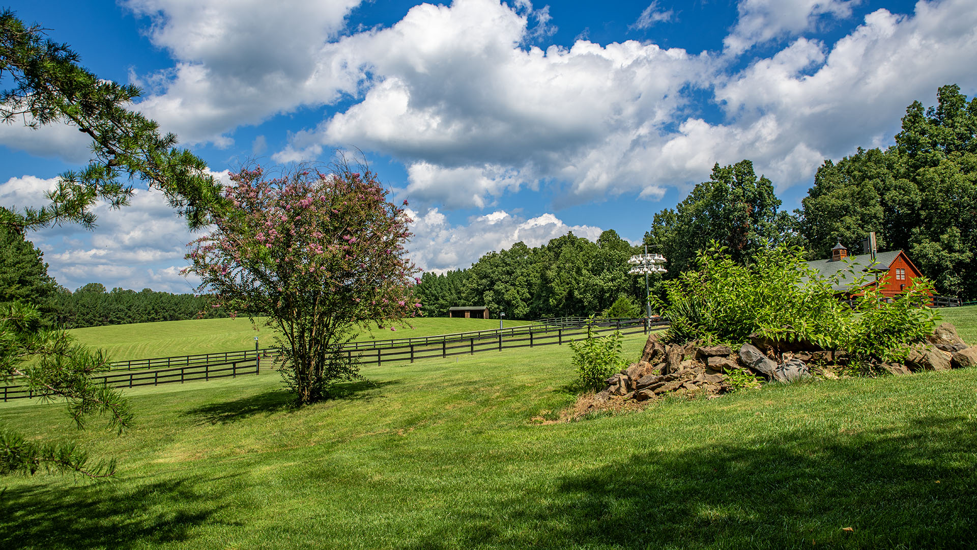 Rock garden at the 44-acre Madison County Virginia farm