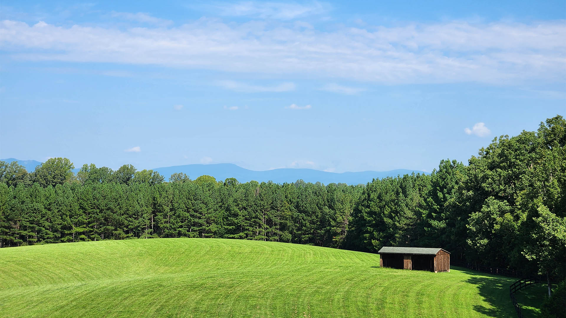 Blue Ridge Mountain views from the 44-acre property at 3638 Oak Park Road in Madison Virginia