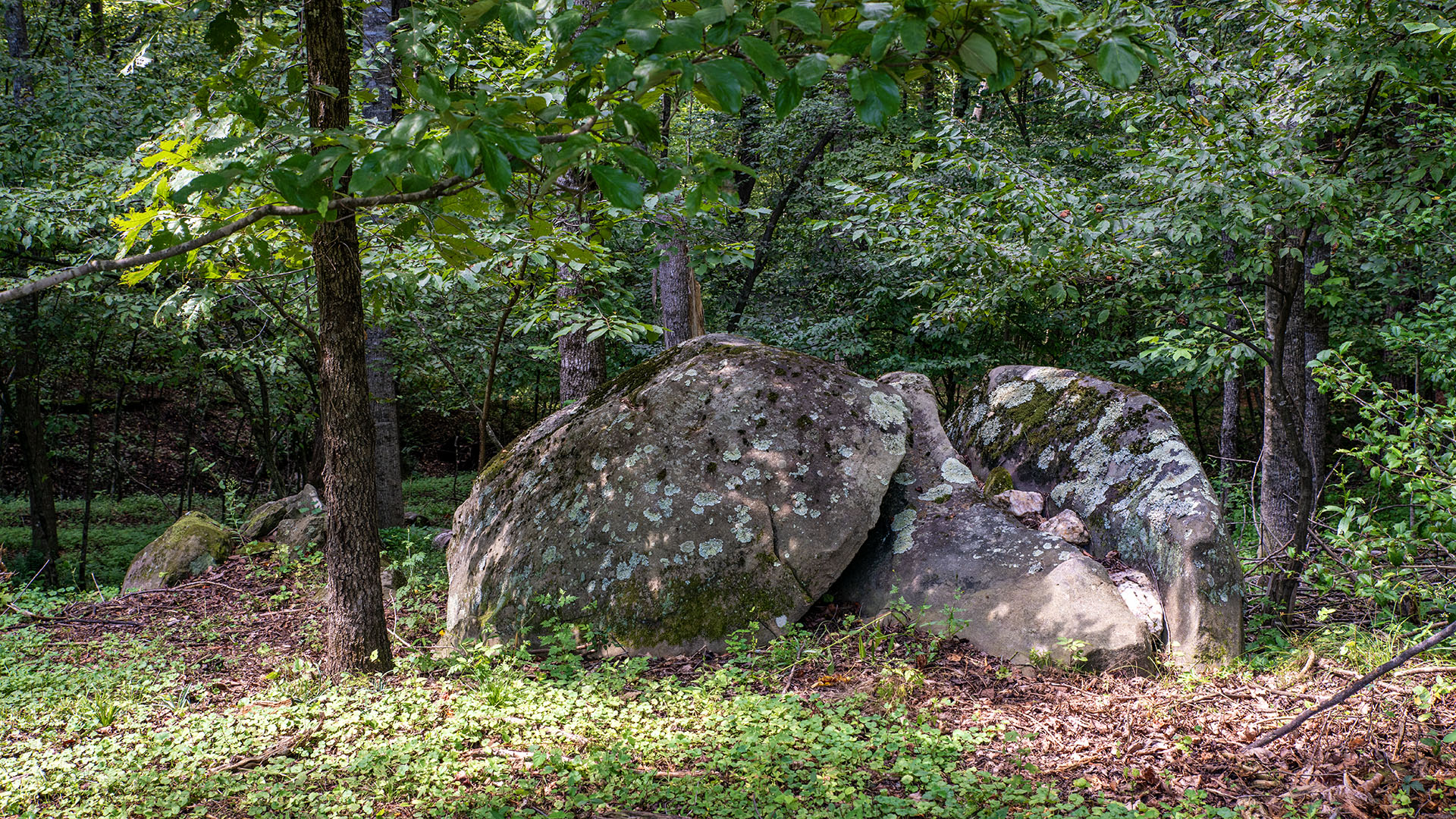 Natural rock formation in the woods at the 44-acre Madison County Virginia farm