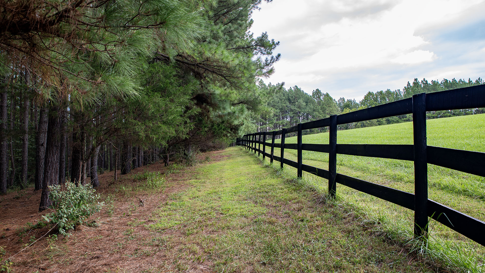 Wooded trail alongside three-board fencing at the Madison Virginia horse farm